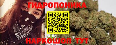 мяу мяу мука Бийск