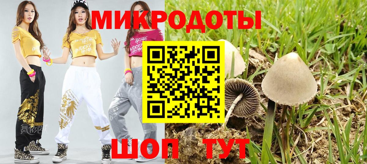 Галлюциногенные грибы мицелий  Вход с VPN  Кировск  Галлюциногенные грибы Psilocybine cubensis 