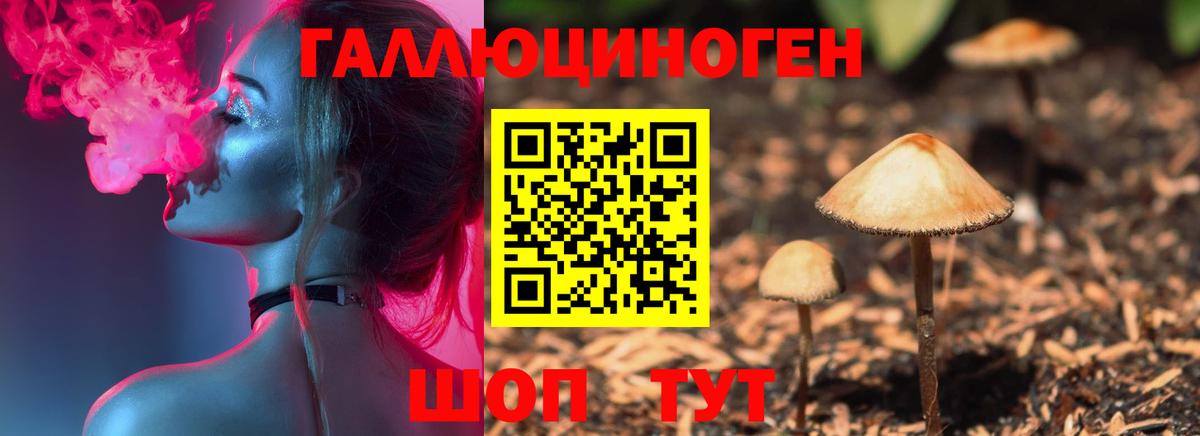 Псилоцибиновые грибы мухоморы Кировск